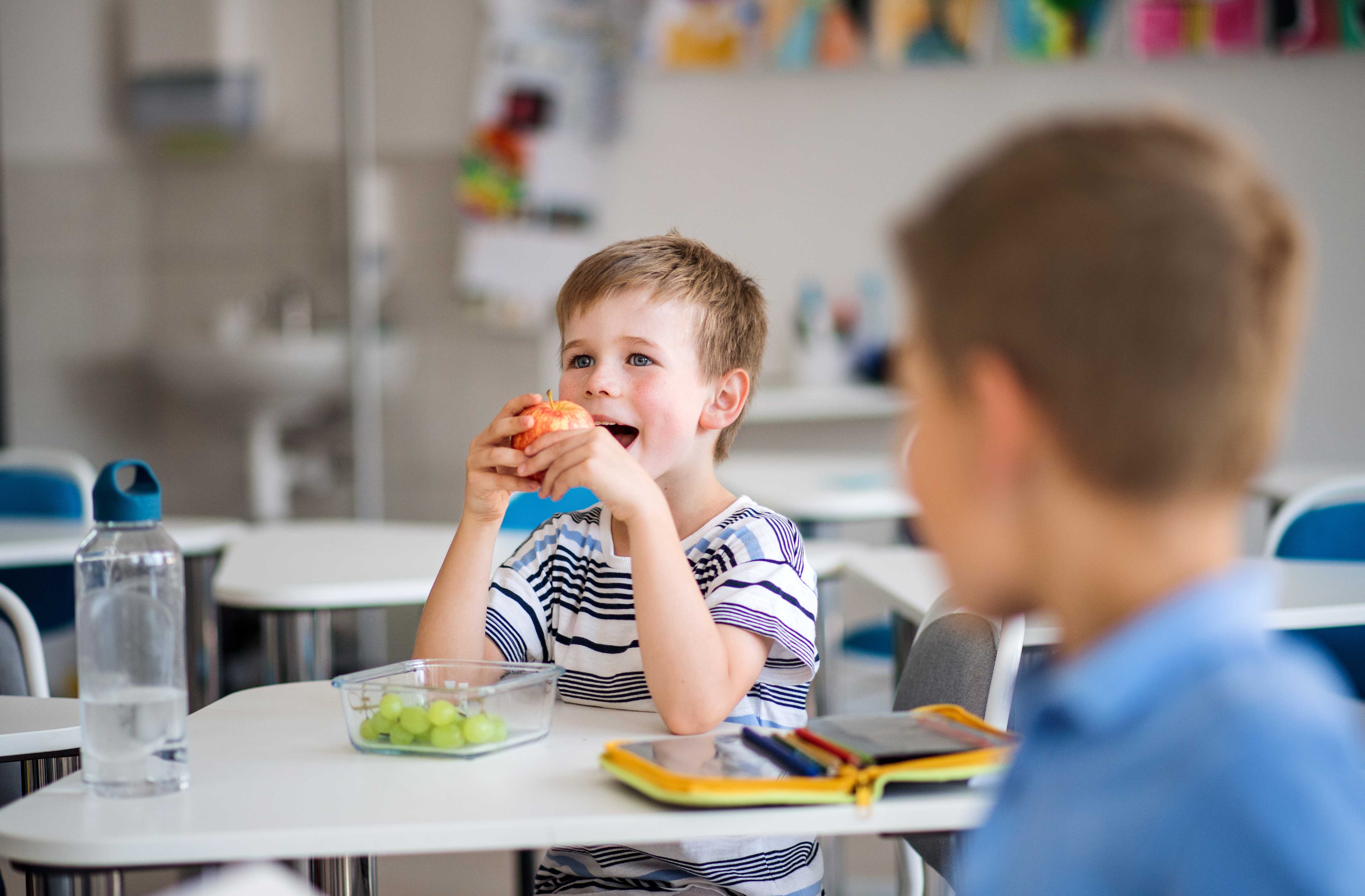 Free School Meals